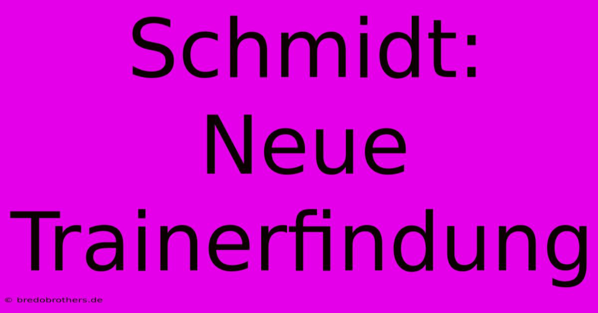 Schmidt: Neue Trainerfindung