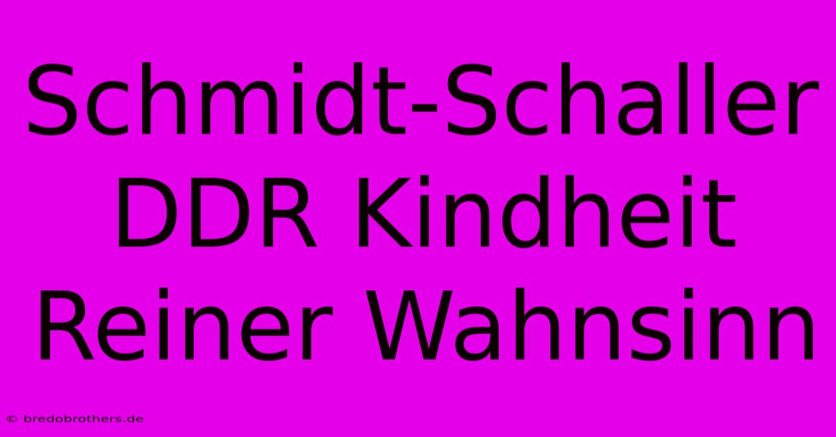 Schmidt-Schaller DDR Kindheit Reiner Wahnsinn