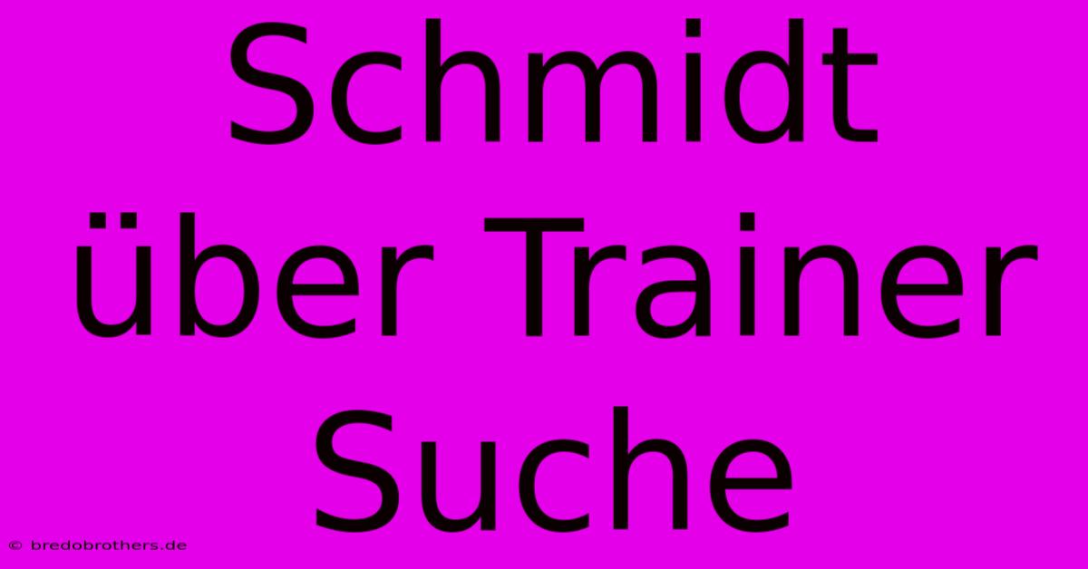 Schmidt Über Trainer Suche