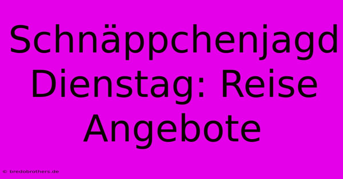 Schnäppchenjagd Dienstag: Reise Angebote