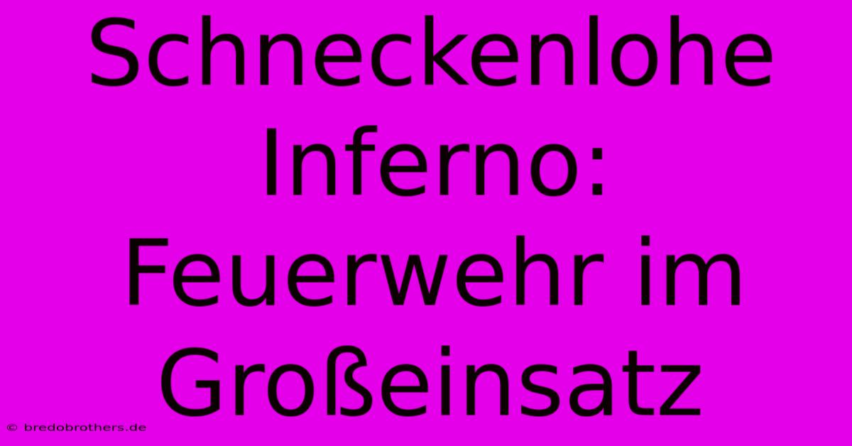 Schneckenlohe Inferno: Feuerwehr Im Großeinsatz