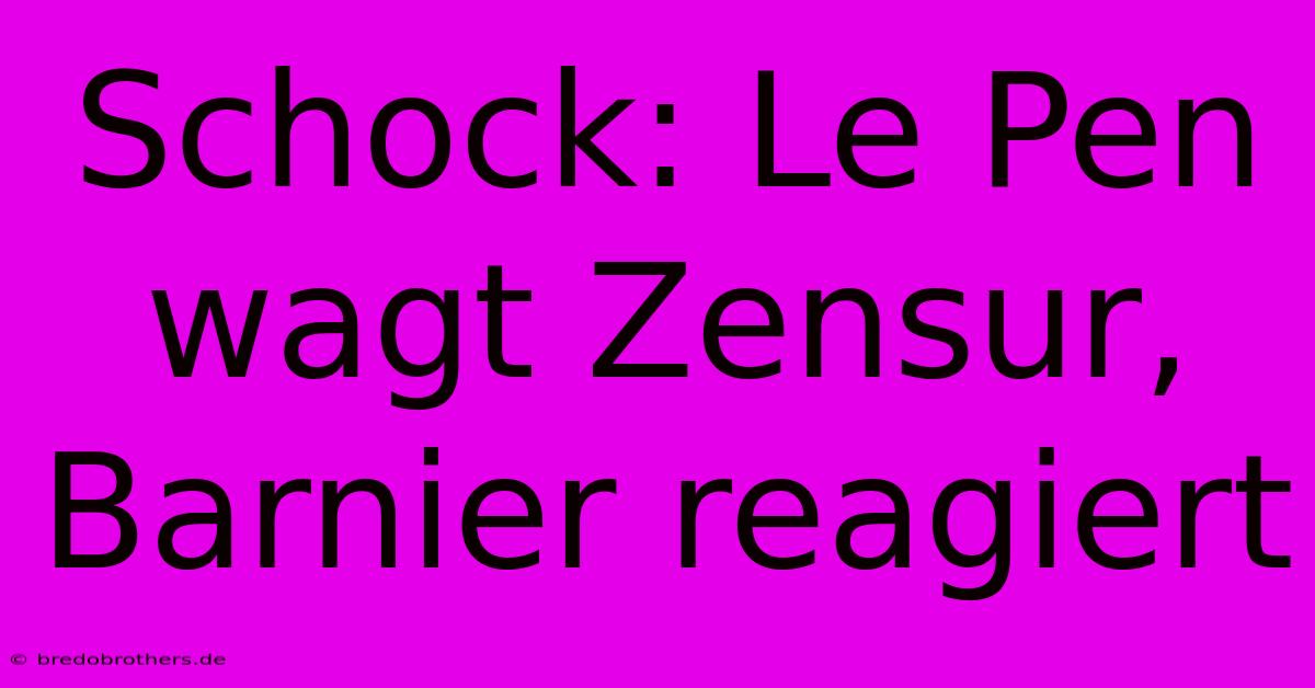 Schock: Le Pen Wagt Zensur, Barnier Reagiert