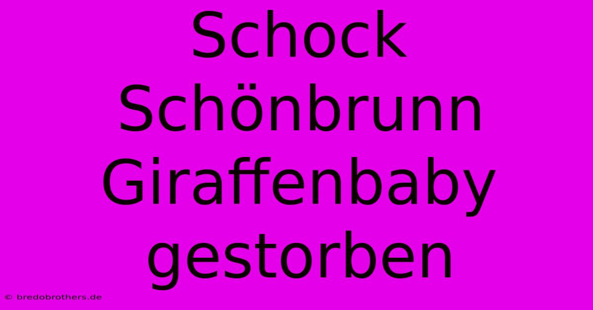 Schock Schönbrunn Giraffenbaby Gestorben