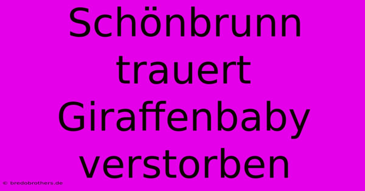 Schönbrunn Trauert Giraffenbaby Verstorben