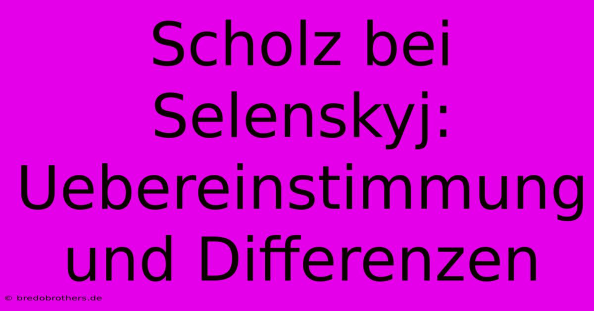 Scholz Bei Selenskyj:  Uebereinstimmung Und Differenzen