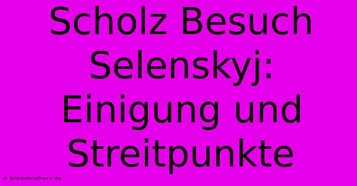 Scholz Besuch Selenskyj: Einigung Und Streitpunkte