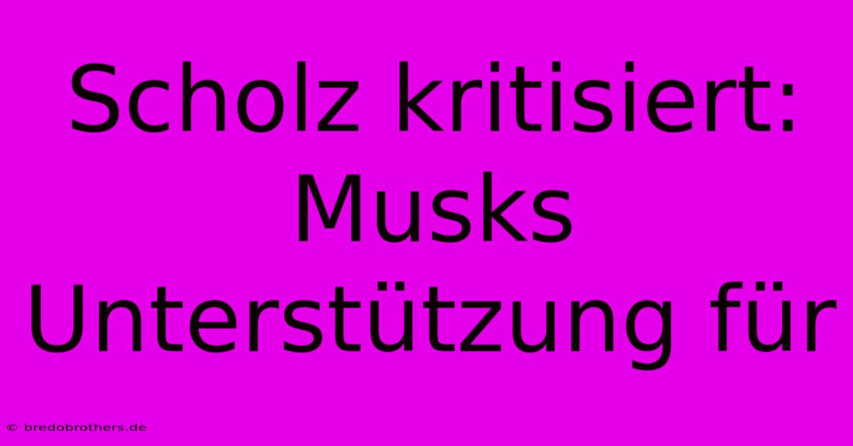 Scholz Kritisiert: Musks Unterstützung Für