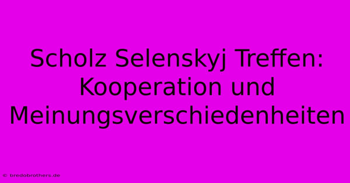 Scholz Selenskyj Treffen: Kooperation Und Meinungsverschiedenheiten