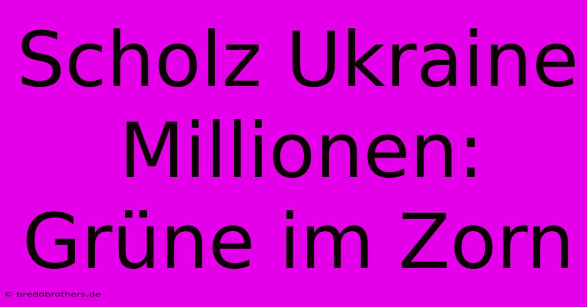 Scholz Ukraine Millionen: Grüne Im Zorn