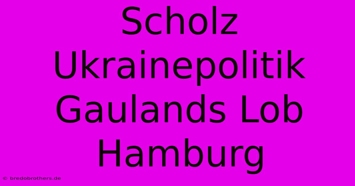 Scholz Ukrainepolitik Gaulands Lob Hamburg