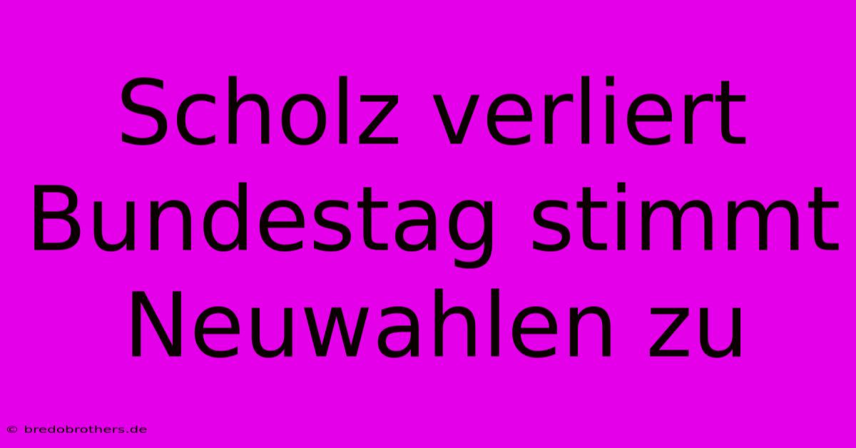 Scholz Verliert Bundestag Stimmt Neuwahlen Zu