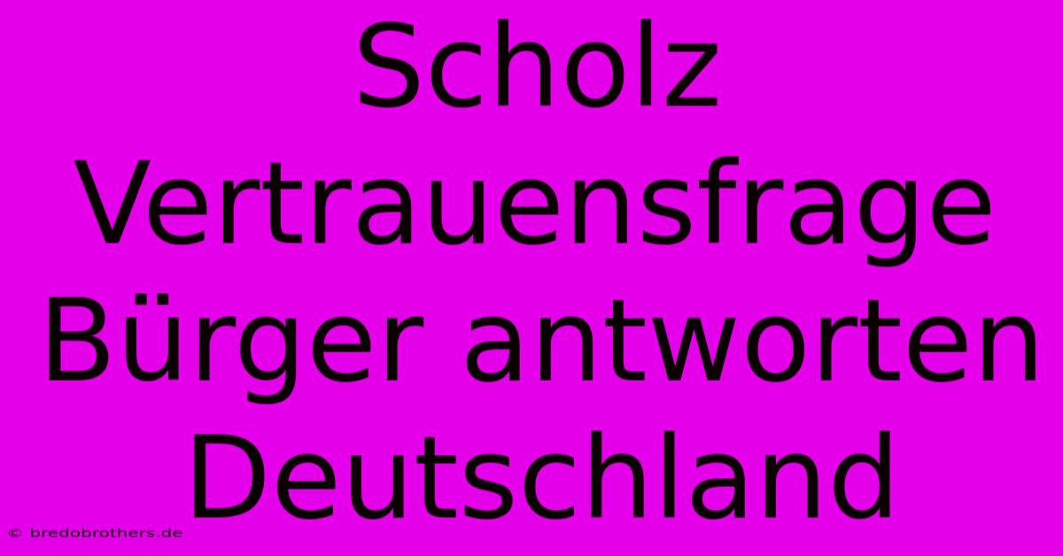 Scholz Vertrauensfrage Bürger Antworten Deutschland