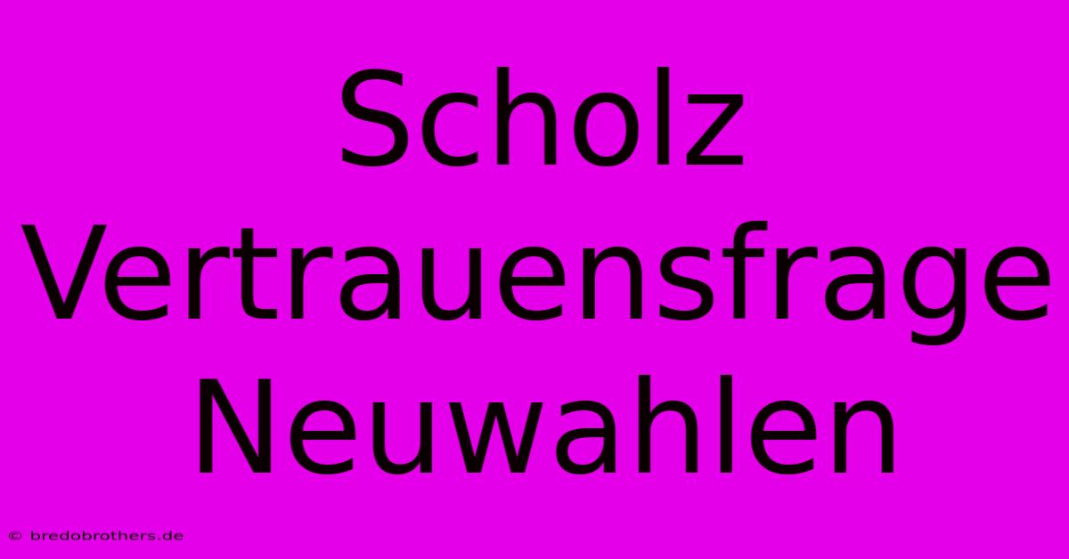 Scholz Vertrauensfrage Neuwahlen