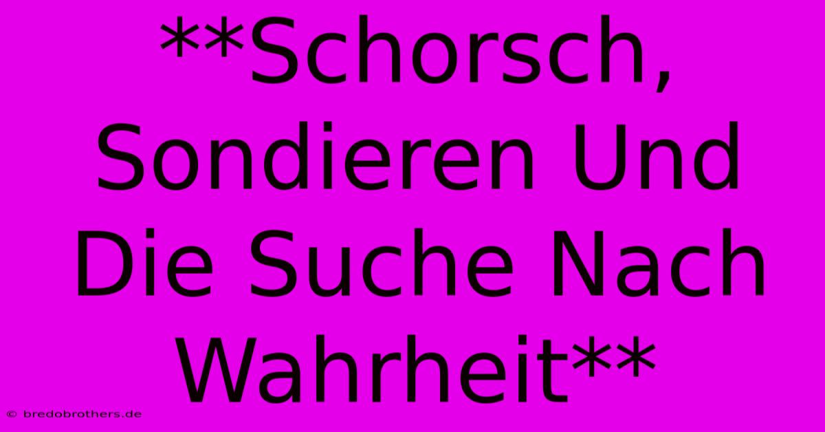 **Schorsch, Sondieren Und Die Suche Nach Wahrheit** 