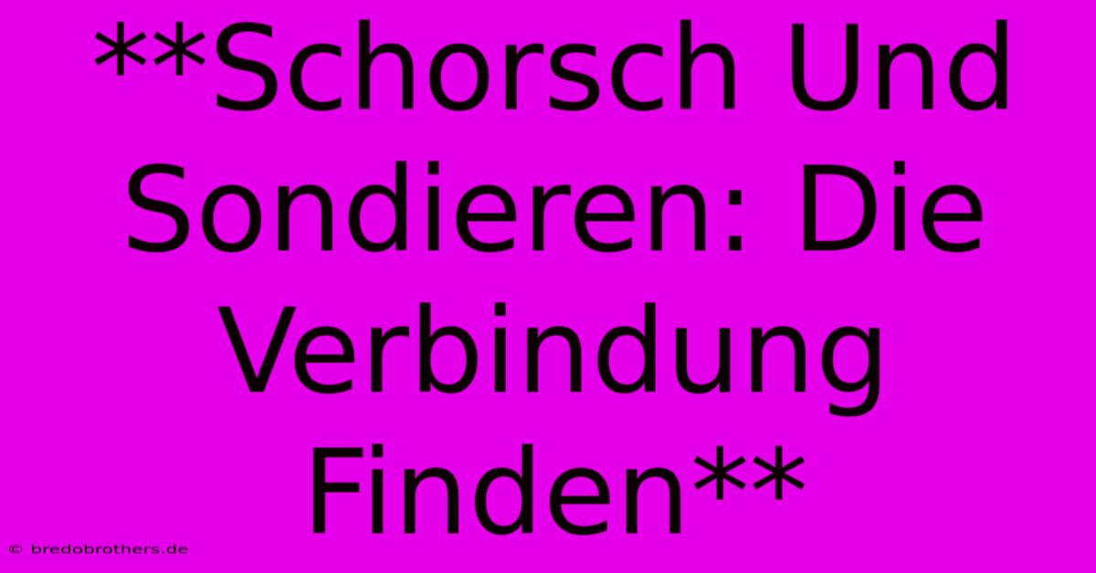 **Schorsch Und Sondieren: Die Verbindung Finden**