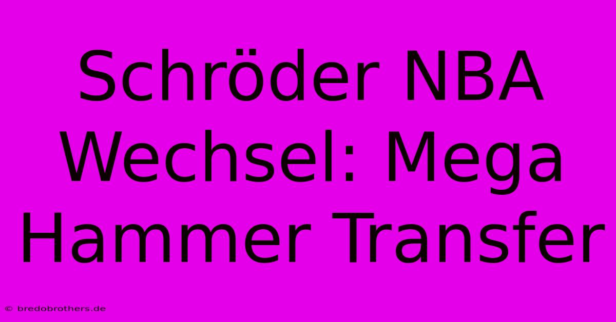 Schröder NBA Wechsel: Mega Hammer Transfer