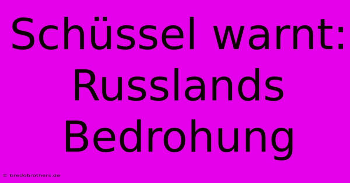 Schüssel Warnt: Russlands Bedrohung