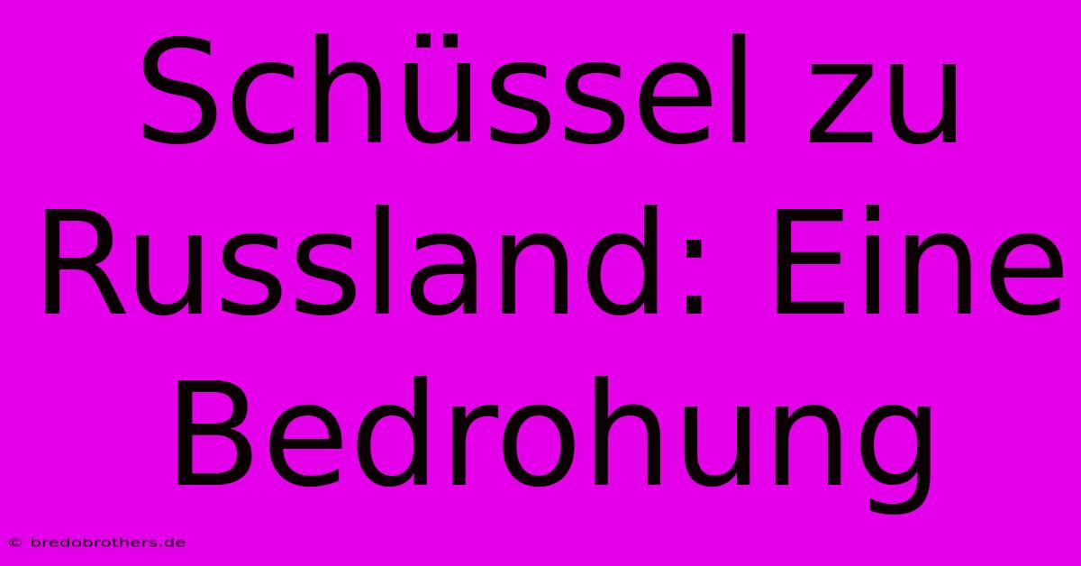 Schüssel Zu Russland: Eine Bedrohung