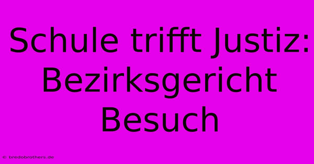 Schule Trifft Justiz: Bezirksgericht Besuch