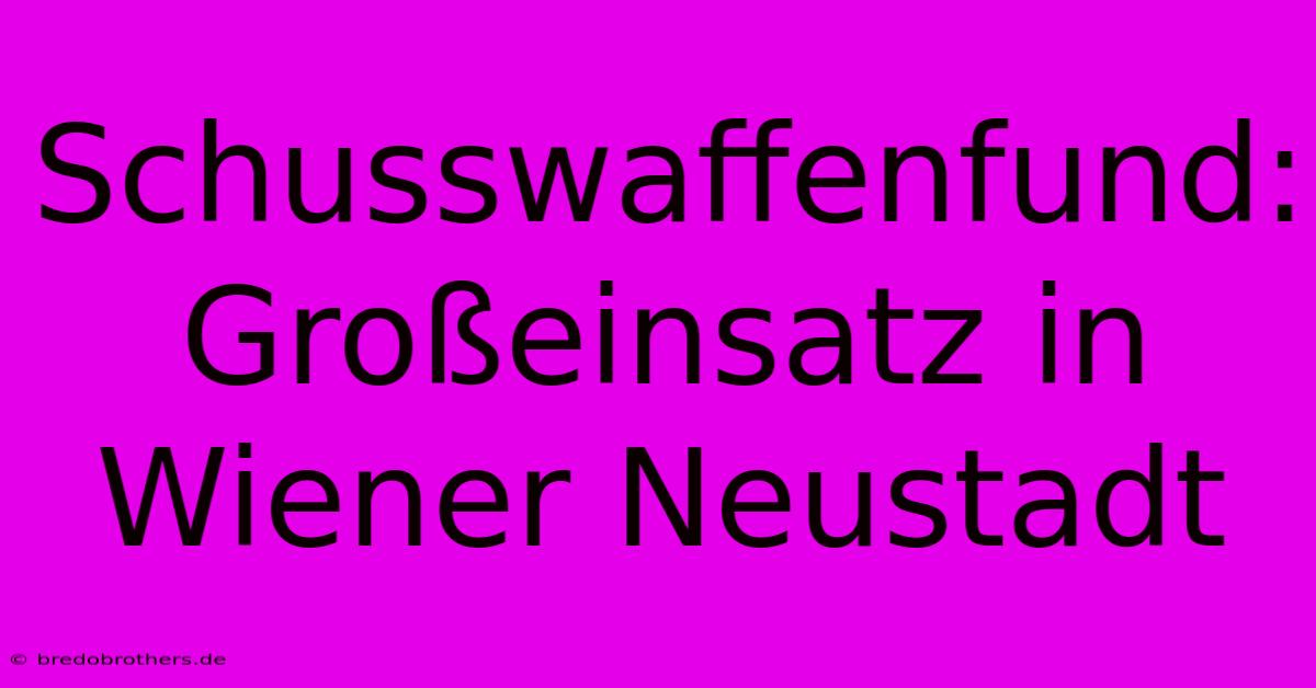 Schusswaffenfund: Großeinsatz In Wiener Neustadt