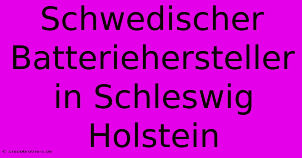 Schwedischer Batteriehersteller In Schleswig Holstein