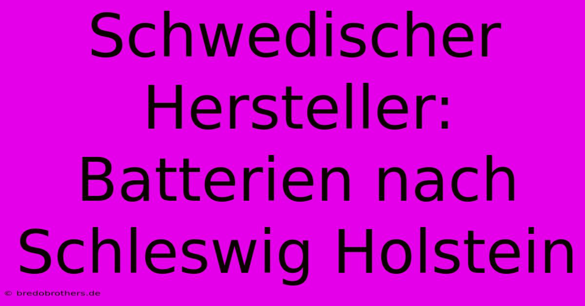 Schwedischer Hersteller: Batterien Nach Schleswig Holstein