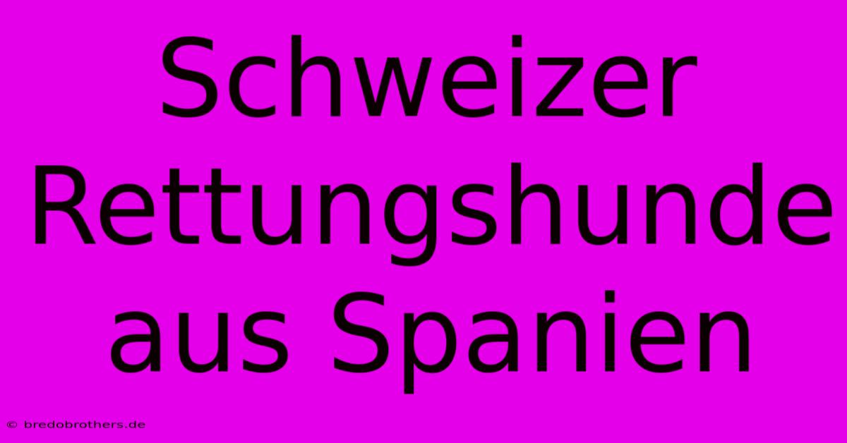 Schweizer Rettungshunde Aus Spanien