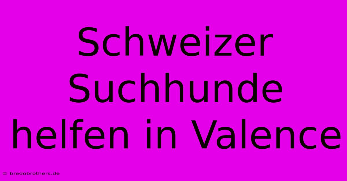 Schweizer Suchhunde Helfen In Valence