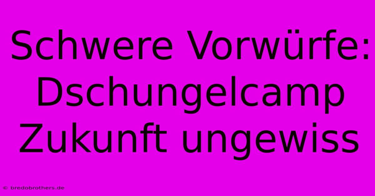 Schwere Vorwürfe: Dschungelcamp Zukunft Ungewiss