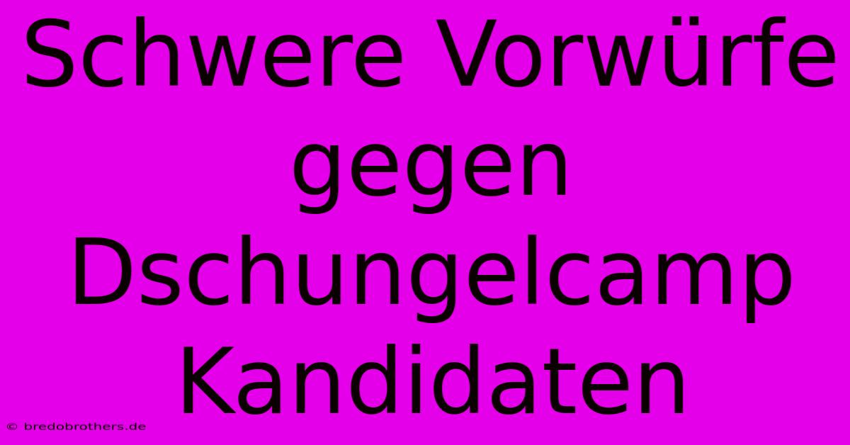 Schwere Vorwürfe Gegen Dschungelcamp Kandidaten