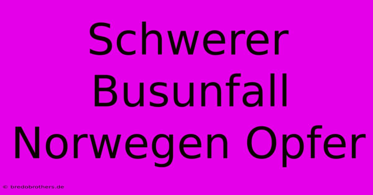 Schwerer Busunfall Norwegen Opfer