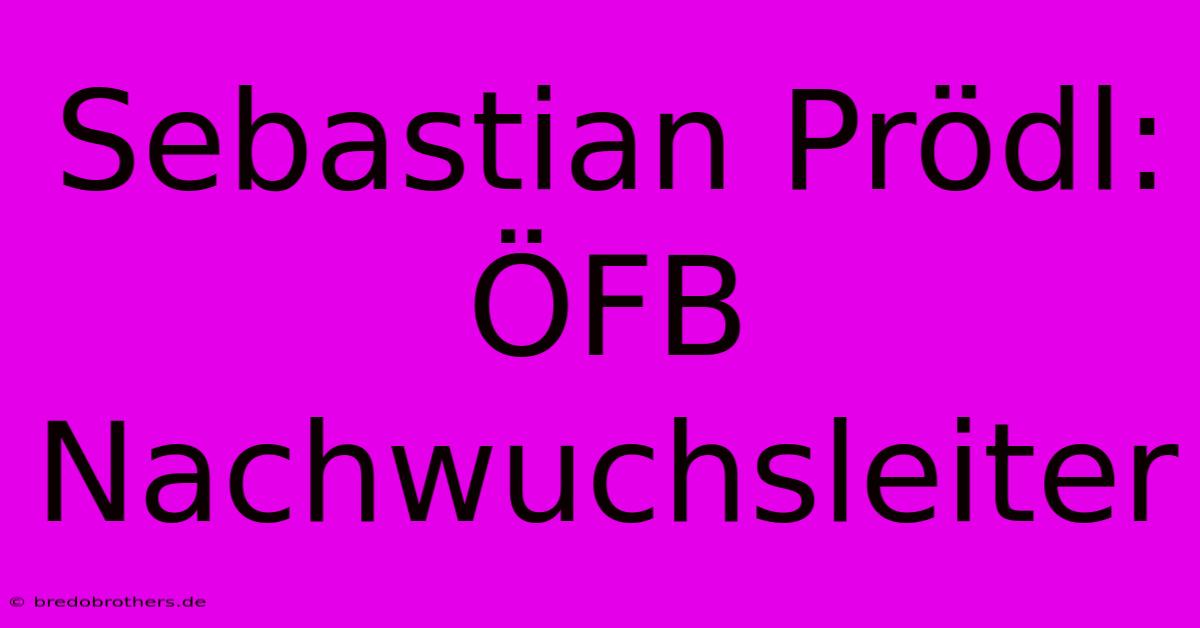 Sebastian Prödl: ÖFB Nachwuchsleiter