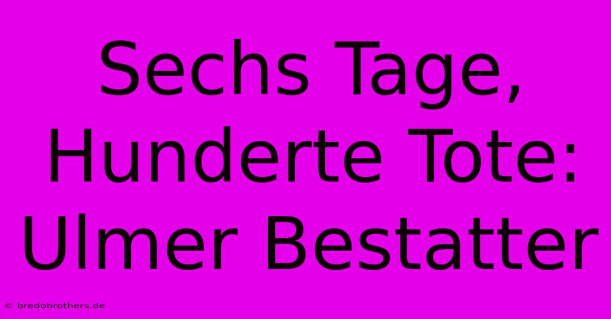 Sechs Tage, Hunderte Tote: Ulmer Bestatter