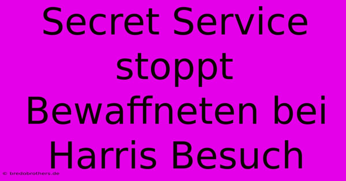 Secret Service Stoppt Bewaffneten Bei Harris Besuch