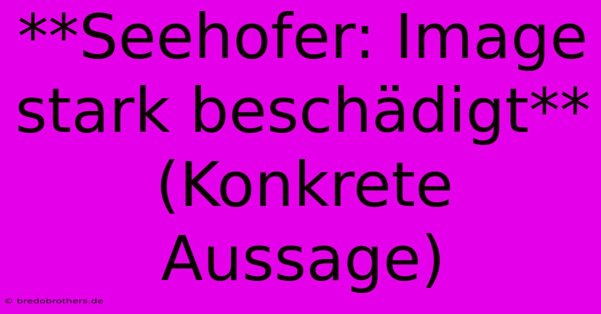 **Seehofer: Image Stark Beschädigt** (Konkrete Aussage)