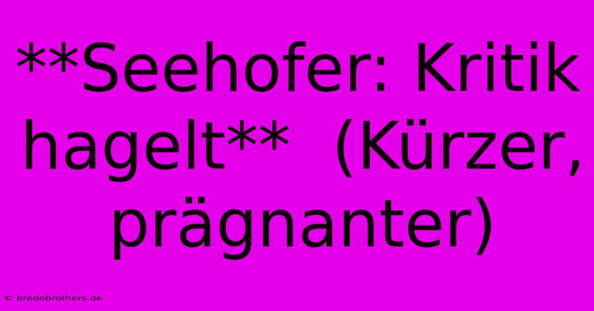 **Seehofer: Kritik Hagelt**  (Kürzer, Prägnanter)