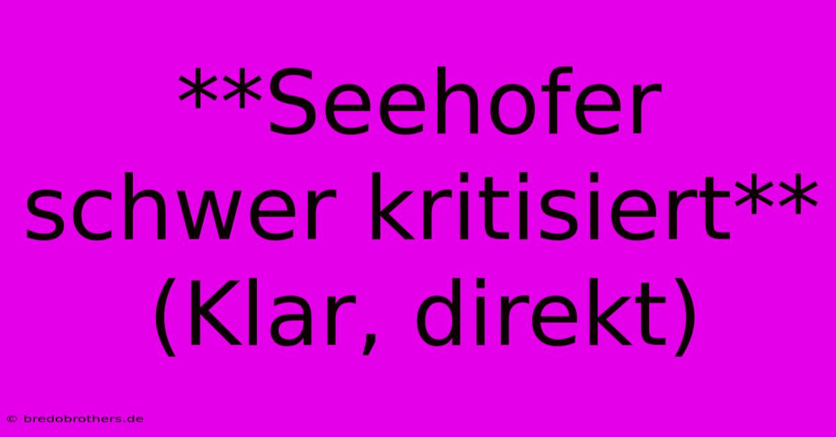 **Seehofer Schwer Kritisiert** (Klar, Direkt)