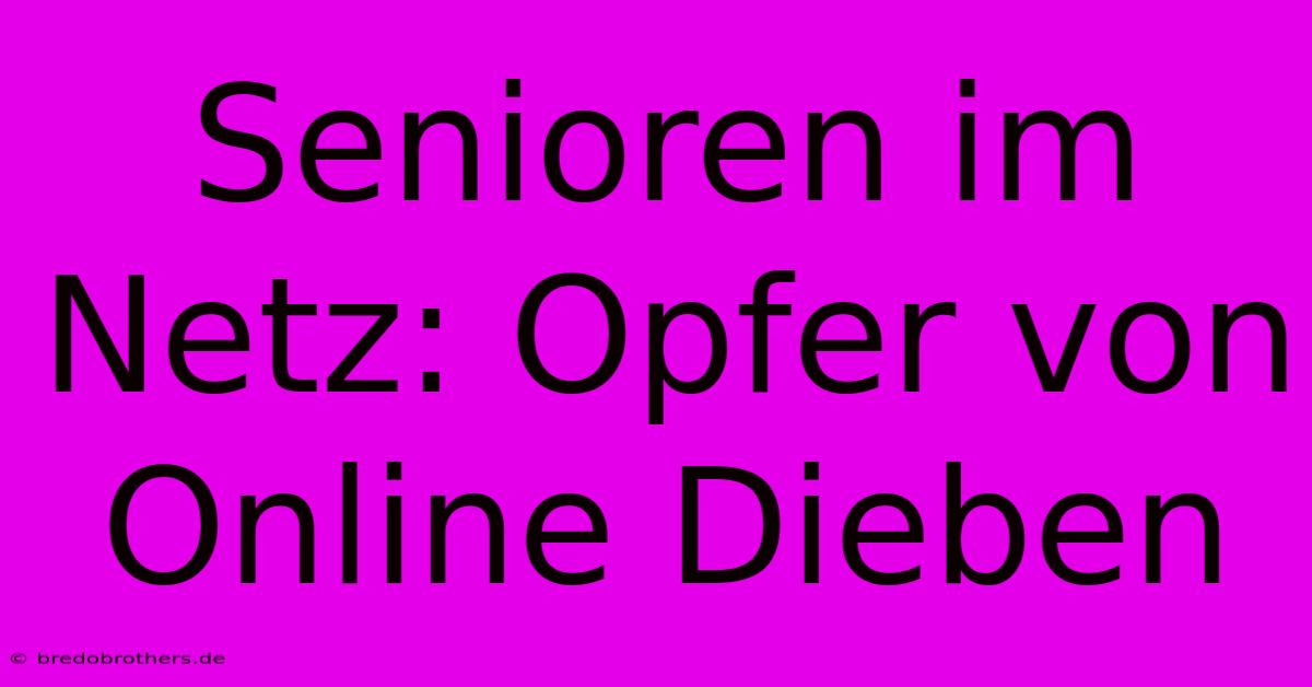 Senioren Im Netz: Opfer Von Online Dieben