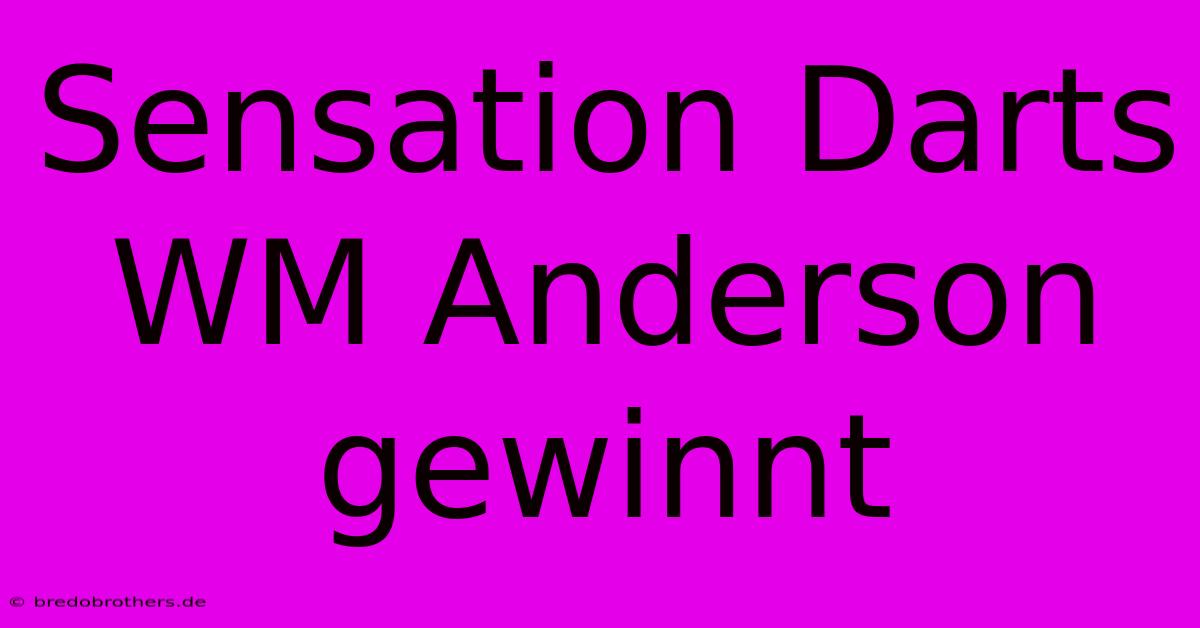 Sensation Darts WM Anderson Gewinnt