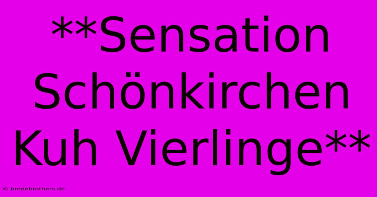 **Sensation Schönkirchen Kuh Vierlinge**