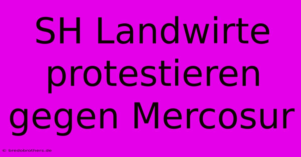 SH Landwirte Protestieren Gegen Mercosur