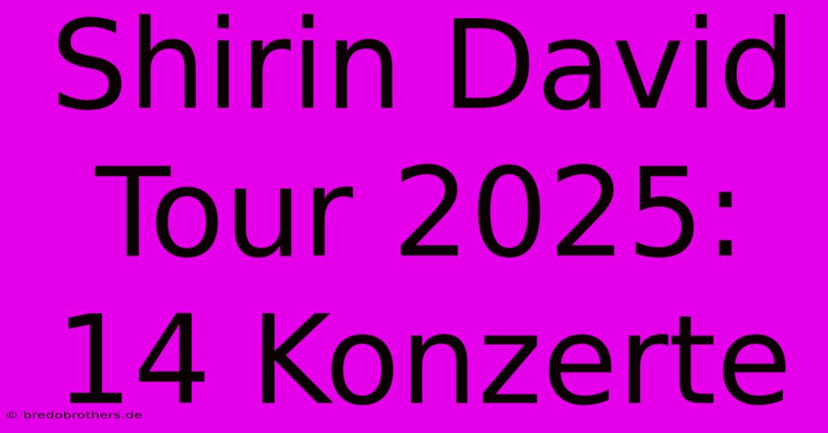 Shirin David Tour 2025: 14 Konzerte