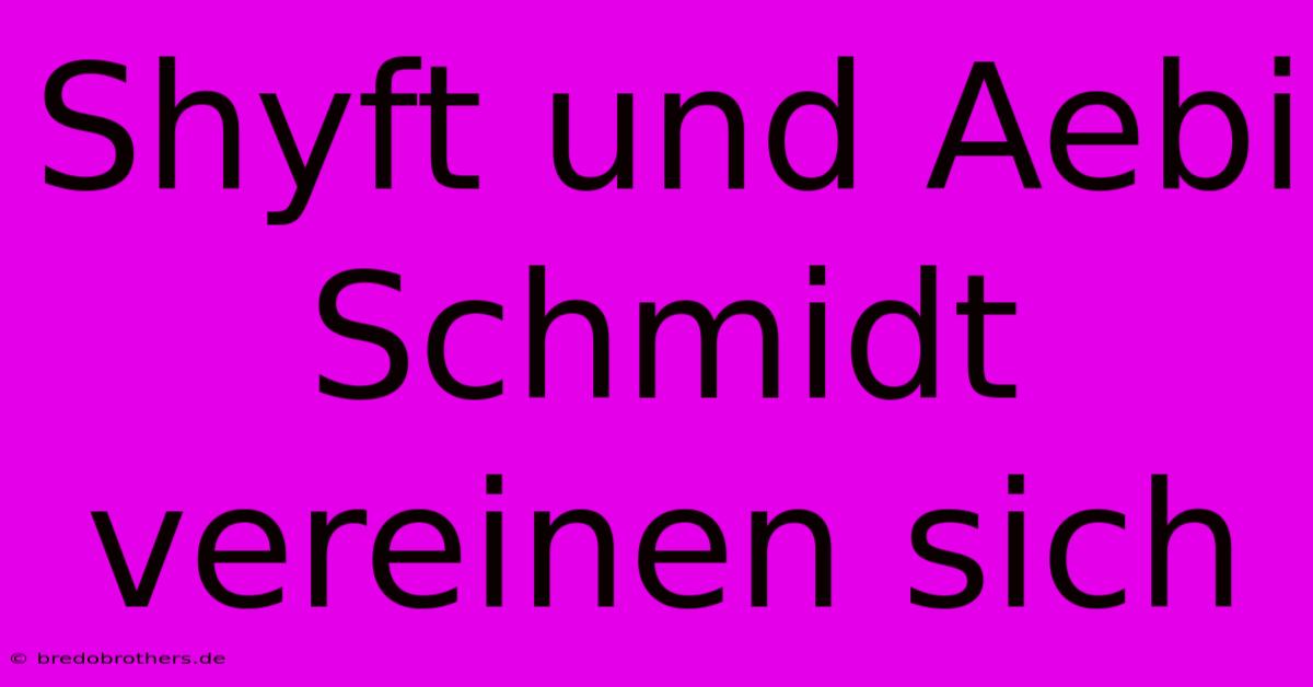 Shyft Und Aebi Schmidt Vereinen Sich