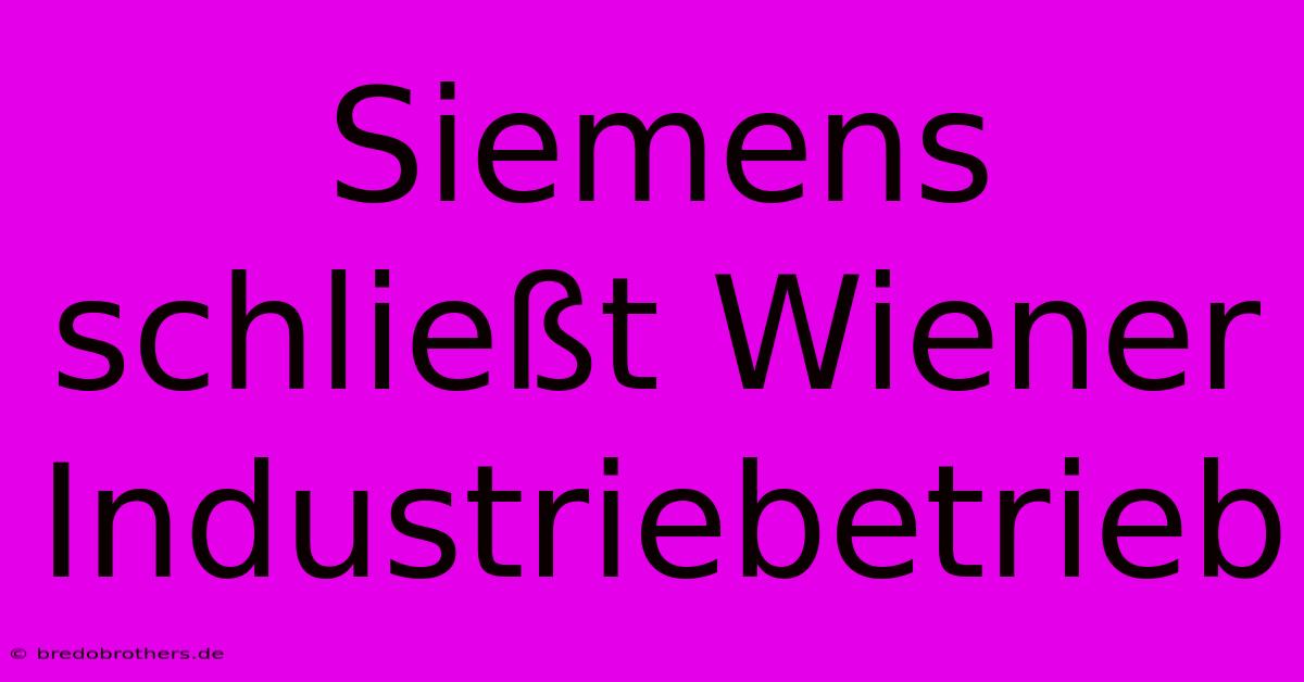 Siemens Schließt Wiener Industriebetrieb