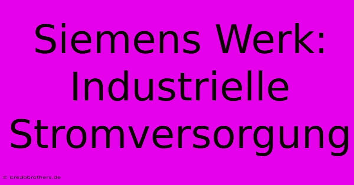 Siemens Werk: Industrielle Stromversorgung