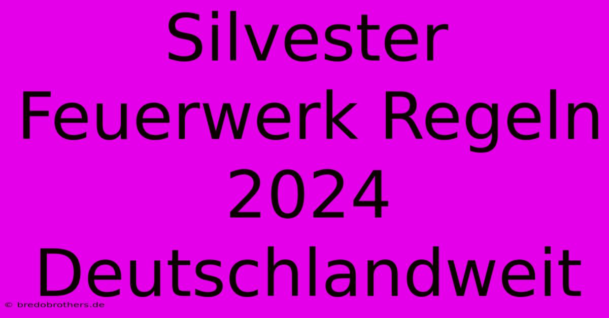 Silvester Feuerwerk Regeln 2024  Deutschlandweit