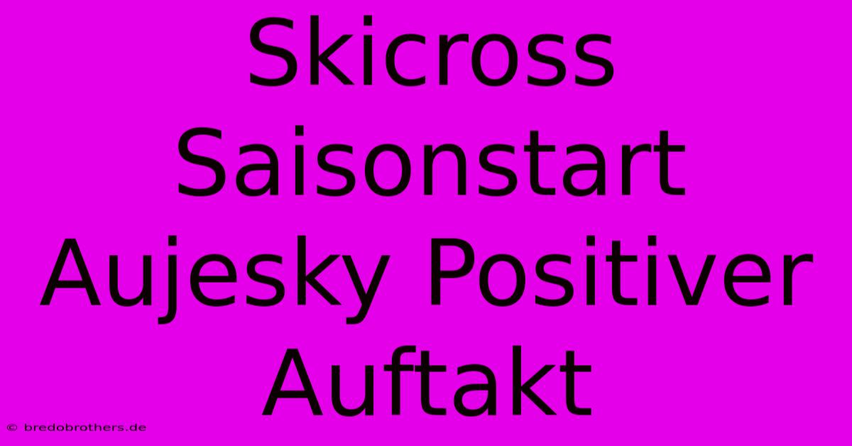 Skicross Saisonstart Aujesky Positiver Auftakt