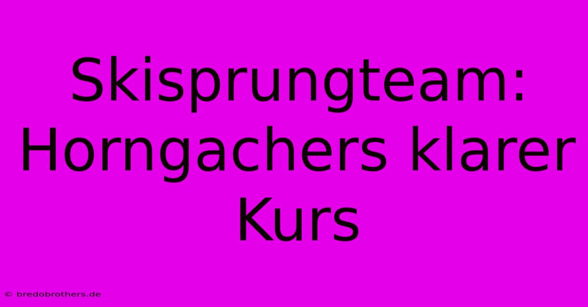 Skisprungteam: Horngachers Klarer Kurs