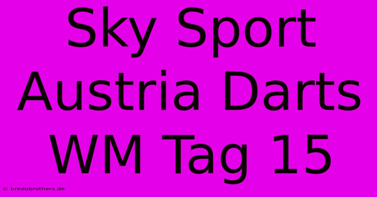 Sky Sport Austria Darts WM Tag 15