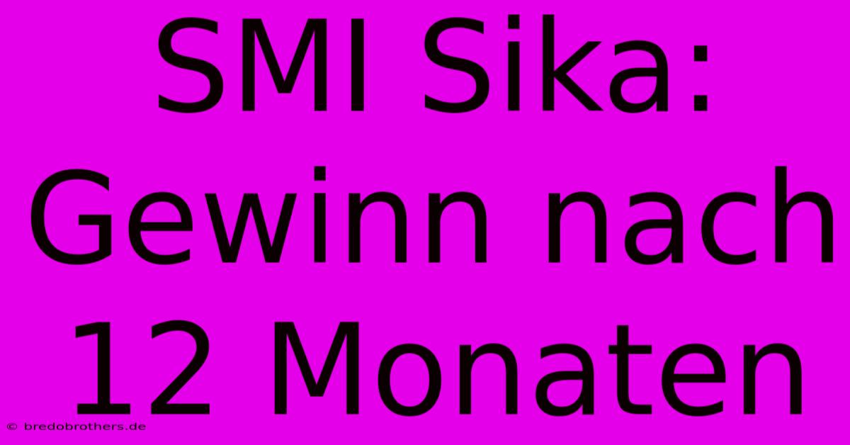 SMI Sika:  Gewinn Nach 12 Monaten